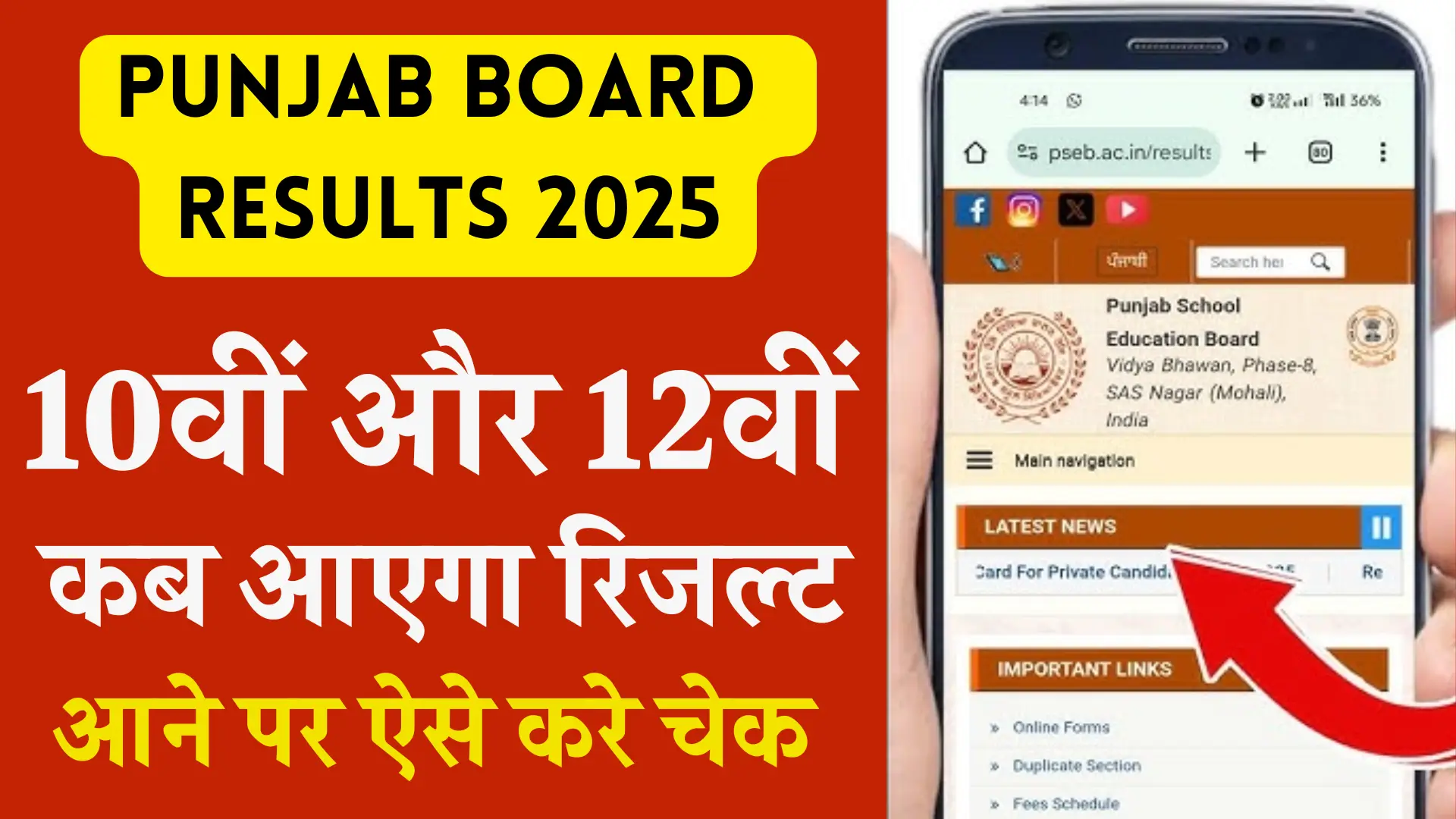Punjab Board Results